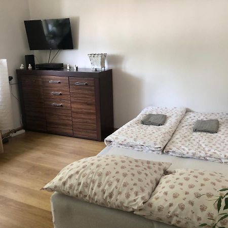 Apartament Aga1 奥斯威辛 外观 照片
